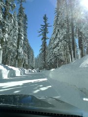 Yosemite_Valley (31)